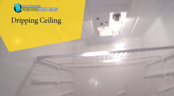 dripping ceiling