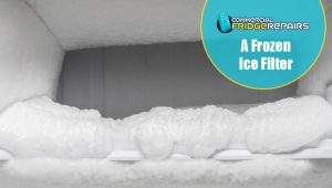 frozen-ice-filter