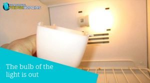fridge-bulb