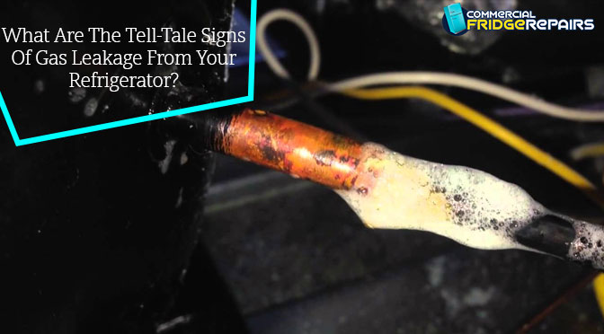 What Are The Tell-Tale Signs Of Gas Leakage From Your Refrigerator?