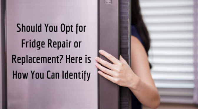 Should You Opt for Fridge Repair or Replacement? Here is How You Can Identify