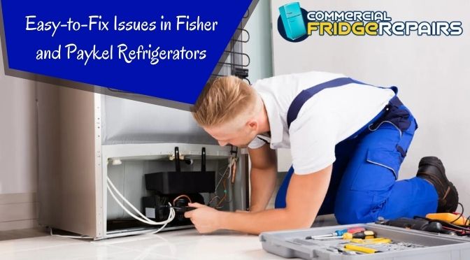 Easy-to-Fix Issues in Fisher and Paykel Refrigerators