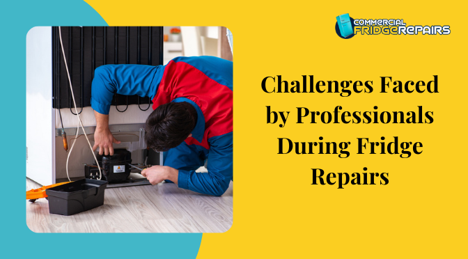 Challenges Faced by Professionals During Fridge Repairs