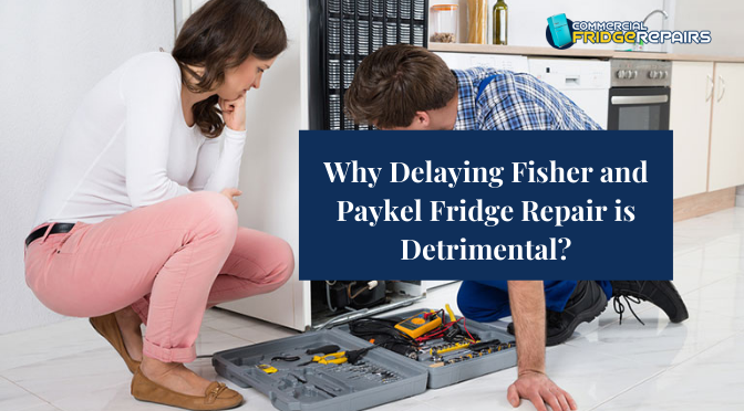 Why Delaying Fisher and Paykel Fridge Repair is Detrimental?