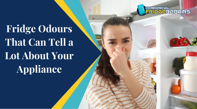 Fridge Odours That Can Tell a Lot About Your Appliance