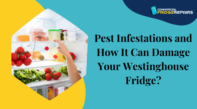 Pest Infestations and How It Can Damage Your Westinghouse Fridge?