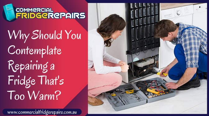 Why Should You Contemplate Repairing a Fridge That’s Too Warm?