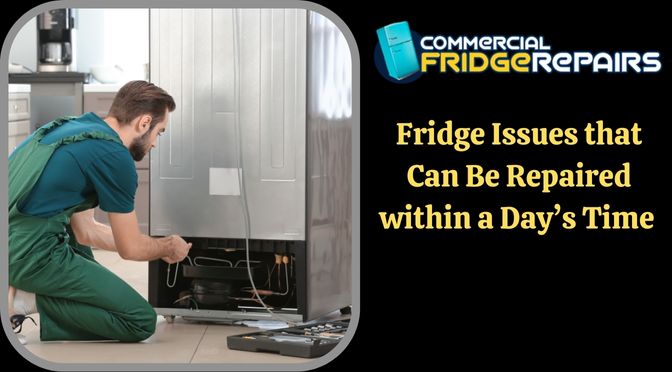 Fridge Issues that Can Be Repaired within a Day’s Time