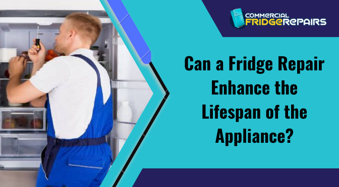Can a Fridge Repair Enhance the Lifespan of the Appliance?