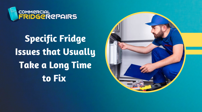 Specific Fridge Issues that Usually Take a Long Time to Fix