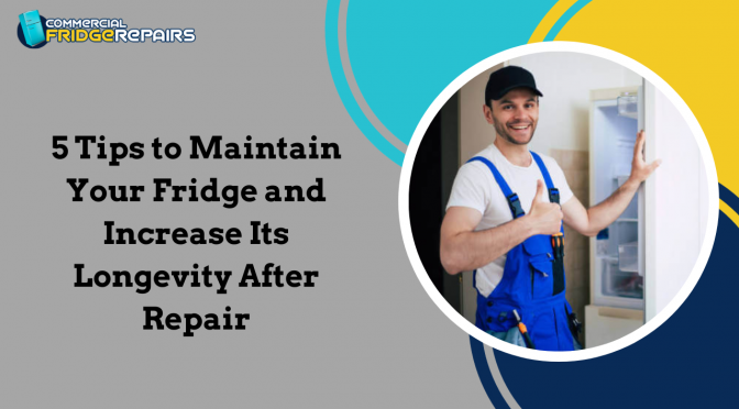 5 Tips to Maintain Your Fridge and Increase Its Longevity After Repair